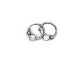 925 Silver Earring SE00046