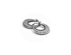 925 Silver Earring SE00017