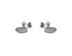 925 Silver Earring SE00018