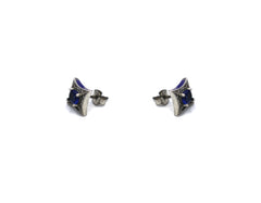 925 Silver Earring SE00021