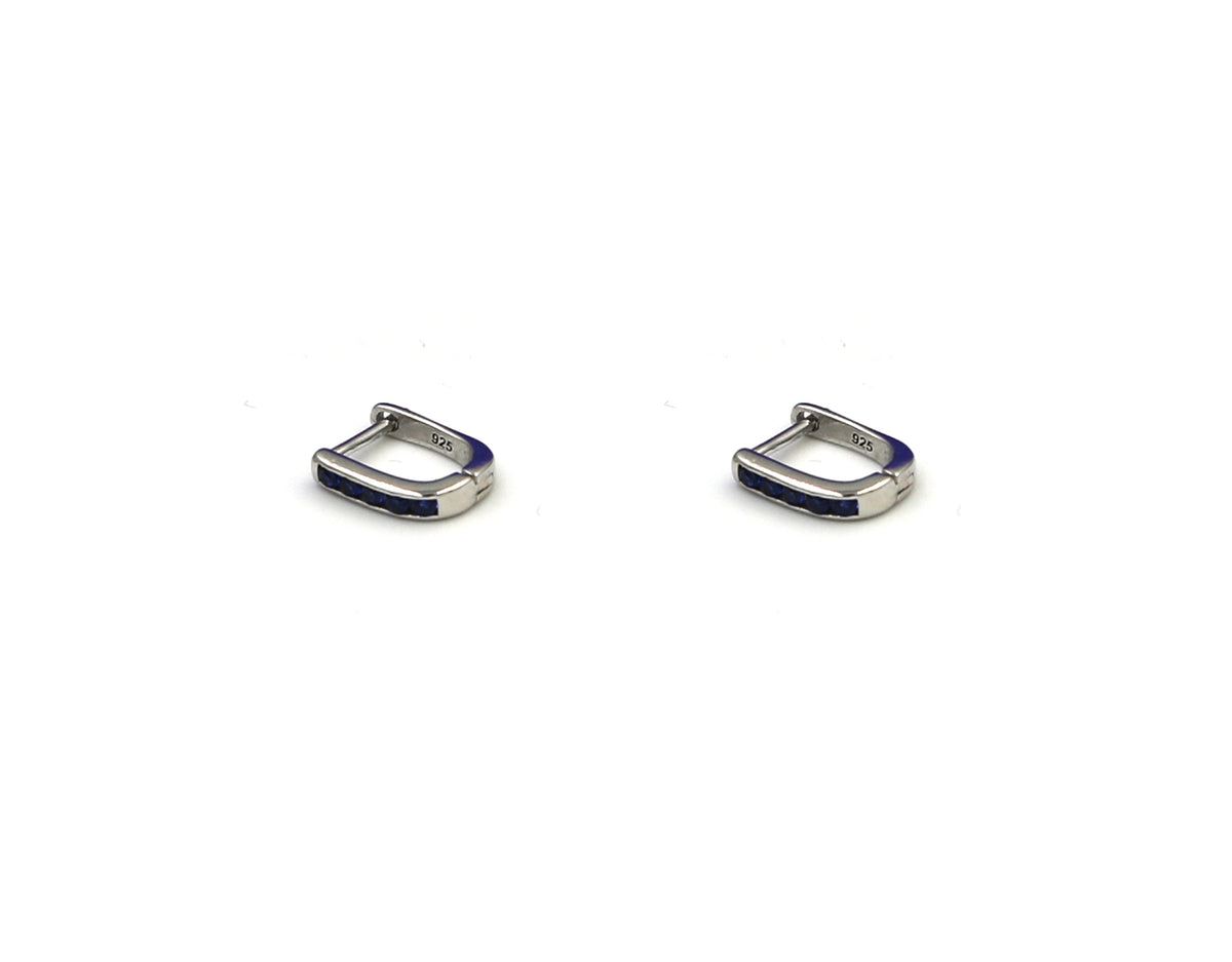 925 Silver Earring SE00053