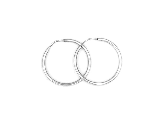 925 Silver Earring SE00043