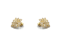 18K Gold Earring AFE04571