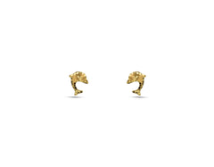18K Gold Earring BG20004177/E00920