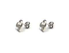 925 Silver Earring SE00055